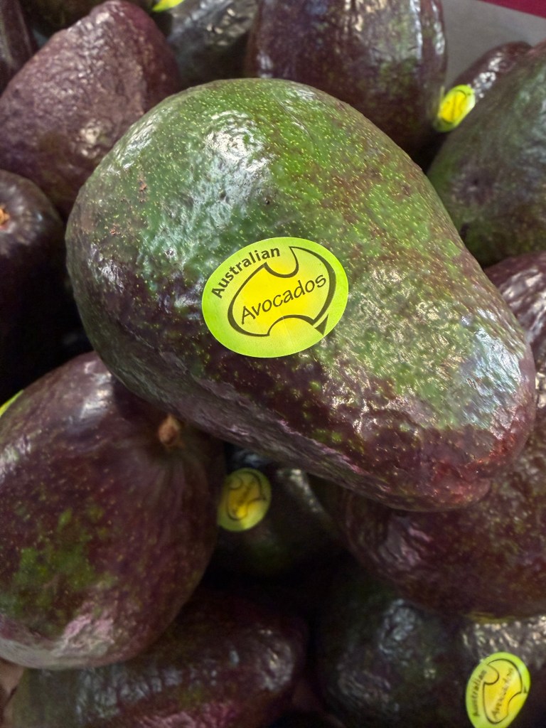 Australia Avocado