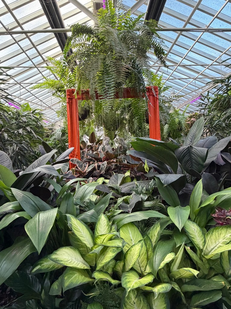 The Conservatory