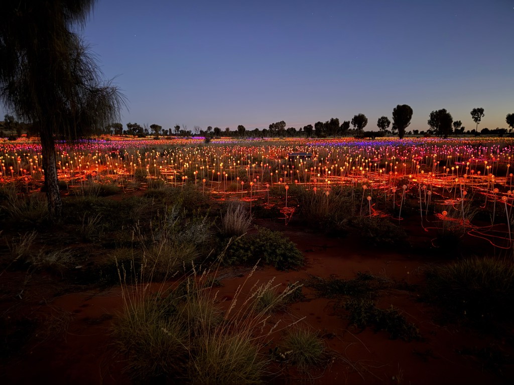 Field of Lights