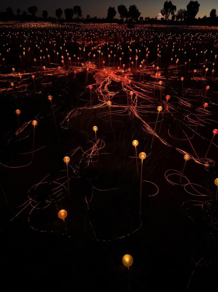 Field of Lights