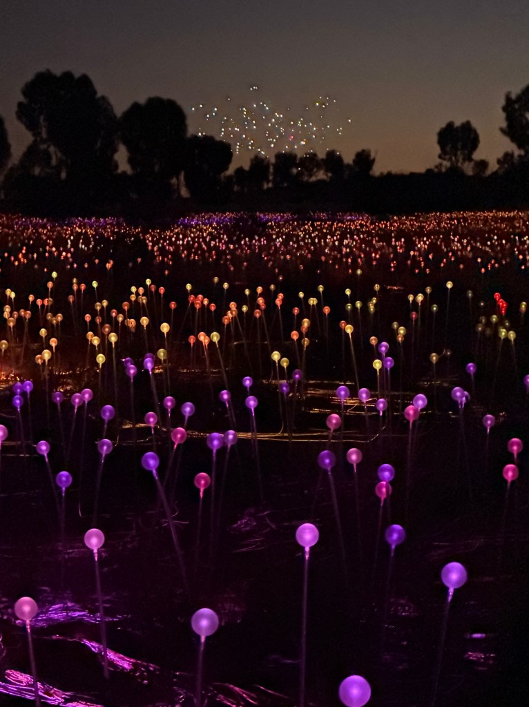 Field of Lights